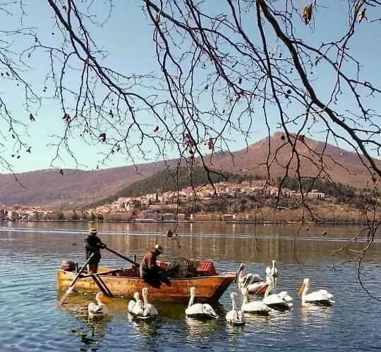 بيت للعطل Kastoria Dendrochori Retreat & Rest *