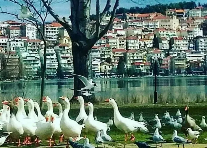 بيت للعطل Kastoria Dendrochori Retreat & Rest
